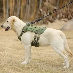Шлейка для собак Vest, тактичний жилет з ручкою і системою MOLLE, регульований, Зелений М - мініатюра 8