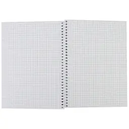 Блокнот Maxi А5, пластикова обкладинка, спіраль, 80 арк., клітинка (MX21950-03) - мініатюра 2