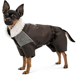 Костюм для собак Pet Fashion Locky S коричневий - мініатюра 2