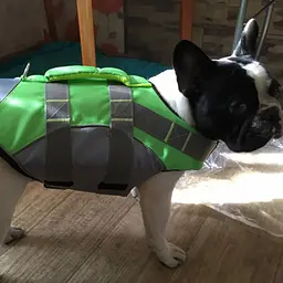 Рятувальний жилет для собак Derby Reflective Dog Life Jacket, M - мініатюра 3