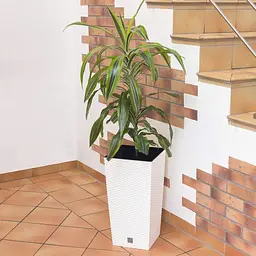 Горщик для рослин Prosperplast Rato Square 11/26.6 л білий (DRTS265-S449) - мініатюра 3