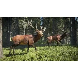 Ключ активації Microsoft TheHunter: Call of the Wild - Reserve Bundle для Xbox One/Series - мініатюра 7