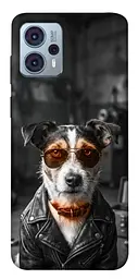 TPU чохол Demsky Jack rassel для Motorola Moto G23