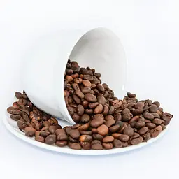 Кавомолка Esperanza EKC002K Lungo black - мініатюра 3