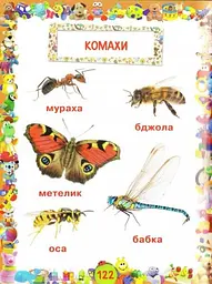 Книга Улюблена книжка малюка. Від 6 місяців до 4 років 2681 (9789669362681) shop (9789669362681) - мініатюра 4