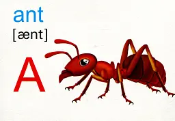 Alphabet. Алфавіт. Комплект флеш-карток з англійської мови - Леся Вознюк - мініатюра 2