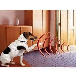 Передавач для бездротового електронного паркану Pets manager JB-03 - мініатюра 3