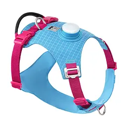 Шлея для собак Truelove TLH6771 з LED-підсвічуванням і тримачем для GPS-трекера Блакитний, XS - мініатюра 1