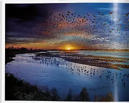 Stephen Wilkes. Day to Night - мініатюра 8
