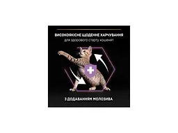 Сухий корм для кішок Purina Pro Plan Original Kitten з куркою 400 г (7613036545099) - мініатюра 4