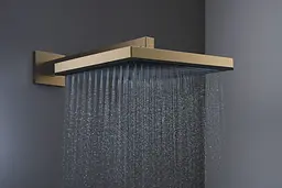 Верхній душ Hansgrohe Pulsify E 260 1jet EcoSmart brushed bronze 24331140 - мініатюра 3