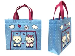 Еко сумка ECOBAG бокс з друком Ламінація Kitty із замком 320х270х100мм 400мм