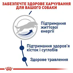 Сухий корм для собак великих порід старше 5 років Royal Canin Maxi Adult 5+, 15 кг (3008150) - мініатюра 5