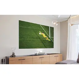Екран для проектора Epson ELPSC36, 16:9, 120'' 2.66x1.5 м ALR фіксований - мініатюра 2