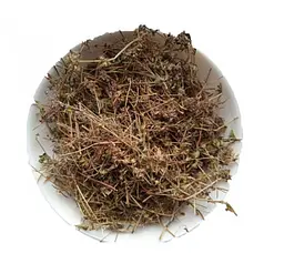 Чебрець Трава Чепчик Тимян Thymus serpyllum