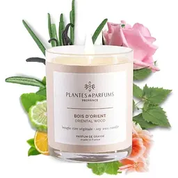 Ароматична свічка Plantes & Parfums Pin de Provence 180 г - мініатюра 2
