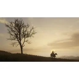 Ключ активації Microsoft Red Dead Redemption 2 для Xbox One/Series - мініатюра 9