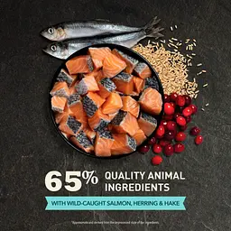 Сухий корм для кішок ACANA Bountiful Catch 4.5 кг (0064992714444) - мініатюра 5