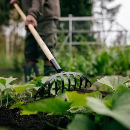 Граблі для троянд Fiskars Solid з дерев'яною ручкою (1011597) - мініатюра 3