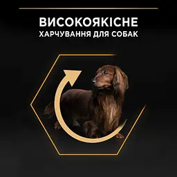 Сухий корм для собак Purina Pro Plan Adult Small & Mini з куркою та рисом 7 кг 12376022 - мініатюра 5