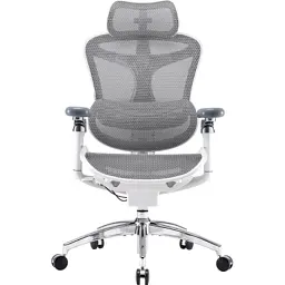 Офисное кресло Sihoo DORO C300 Pro Mesh White (DORO-C300-PRO-M102)