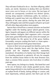 Sapiens. A Brief History of Humankind - мініатюра 5