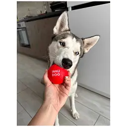 Іграшка для собак Waudog Red Ball 70 мм - мініатюра 7