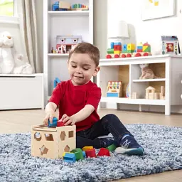 Розвиваюча іграшка Melissa&Doug Сортувальний куб (MD575) - мініатюра 5