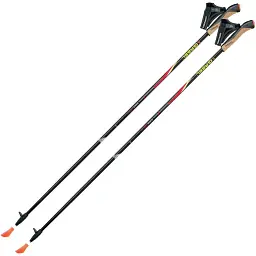 Палиці для скандинавської ходьби Gabel FX-75 Snake Carbon 105 Dual Spike