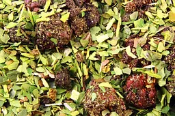 Йерба Мате Green Tutti Frutti - 400 г - мініатюра 6