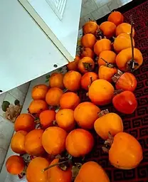 Саджанець Agro-Market Хурма помаранчева Солодкість (Sweetness) (преміальний супер соковитий сорт) (44809) 1 шт. в упаковці - мініатюра 2