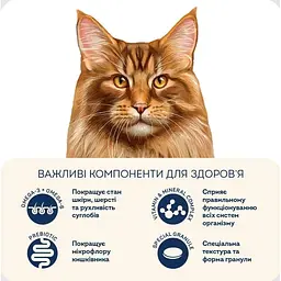 Сухий корм для стерилізованих котів Home Food для великих порід телятина з лососем та в'яленими томатами 1.6 кг - мініатюра 2