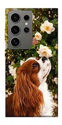 TPU чохол Demsky Flower spaniel для Samsung Galaxy S24 Ultra