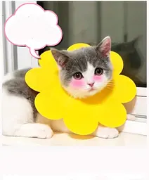 Захисний комір для котів Derby Sunflower Red, XS - мініатюра 3