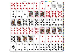 Карти гральні United States Playing Card Company Fuck You (PC_FU) - мініатюра 7