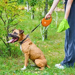 Повідець-рулетка для собак Waudog R-leash з контейнером для пакетів, світловідбивна стрічка, L до 40 кг, 5 м помаранчевий - мініатюра 8