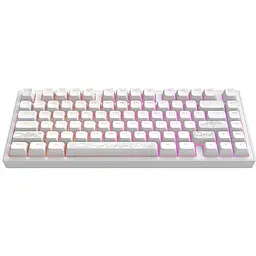 Клавіатура Dark Project ALU81 Terra Nostra PBT RGB Mech G3MS Moonstone White (DPKB_NOSTRA_81_ANSI_WHITE_UA)