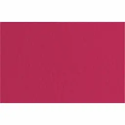 Папір для пастелі Fabriano Tiziano A4 (21х29,7 см) №24 viola 160 г/м² фіалковий середнє зерно (8001348158295)
