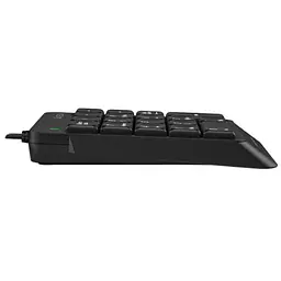 Клавіатура A4Tech FK13P Black (4711421951210) - мініатюра 3