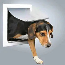 Двері Trixie для собак та котів FreeDog пластикові S/M 30x36 см/24.8-30.8 см білі (3878) - мініатюра 4