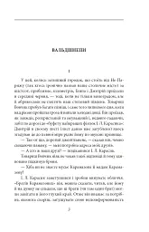 Вальдшнепи - мініатюра 5