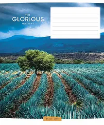 Зошит загальний Школярик Glorious nature у лінію 24 аркушів 25 шт. (024-3376L) - мініатюра 3