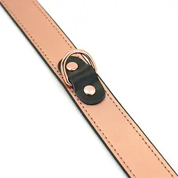 Нашийник із затискачами для сосків Liebe Seele Rose Gold Memory Collar With Nipple Clamps - мініатюра 5