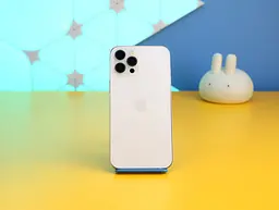 Смартфон Apple iPhone 12 Pro Max 256GB Silver (MGDD3) Б/В [162770] - мініатюра 6