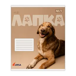 Упаковка зошитів Yes Ursa А5/24 кл. 20 шт. (768956) - мініатюра 4