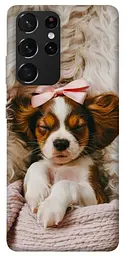 TPU чохол Demsky Sleepy spaniel для Samsung Galaxy S21 Ultra