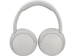 Навушники з мікрофоном Panasonic RB-M600B Beige (RB-M600BE-C) - мініатюра 3