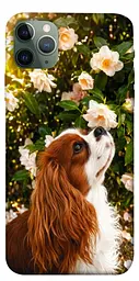 TPU чохол Demsky Flower spaniel для Apple iPhone 11 Pro Max (6.5")