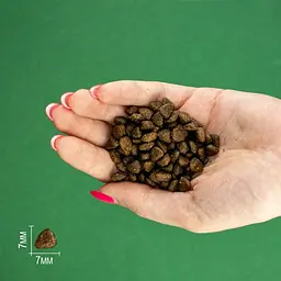 Сухий корм для цуценят дрібних порід Bravery Chicken Mini Puppy з куркою 600 г - мініатюра 6