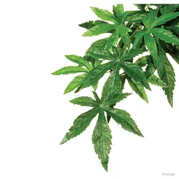 Растение ExoTerra Abutilon Silk для террариума пластик текстиль 15x32x4 см